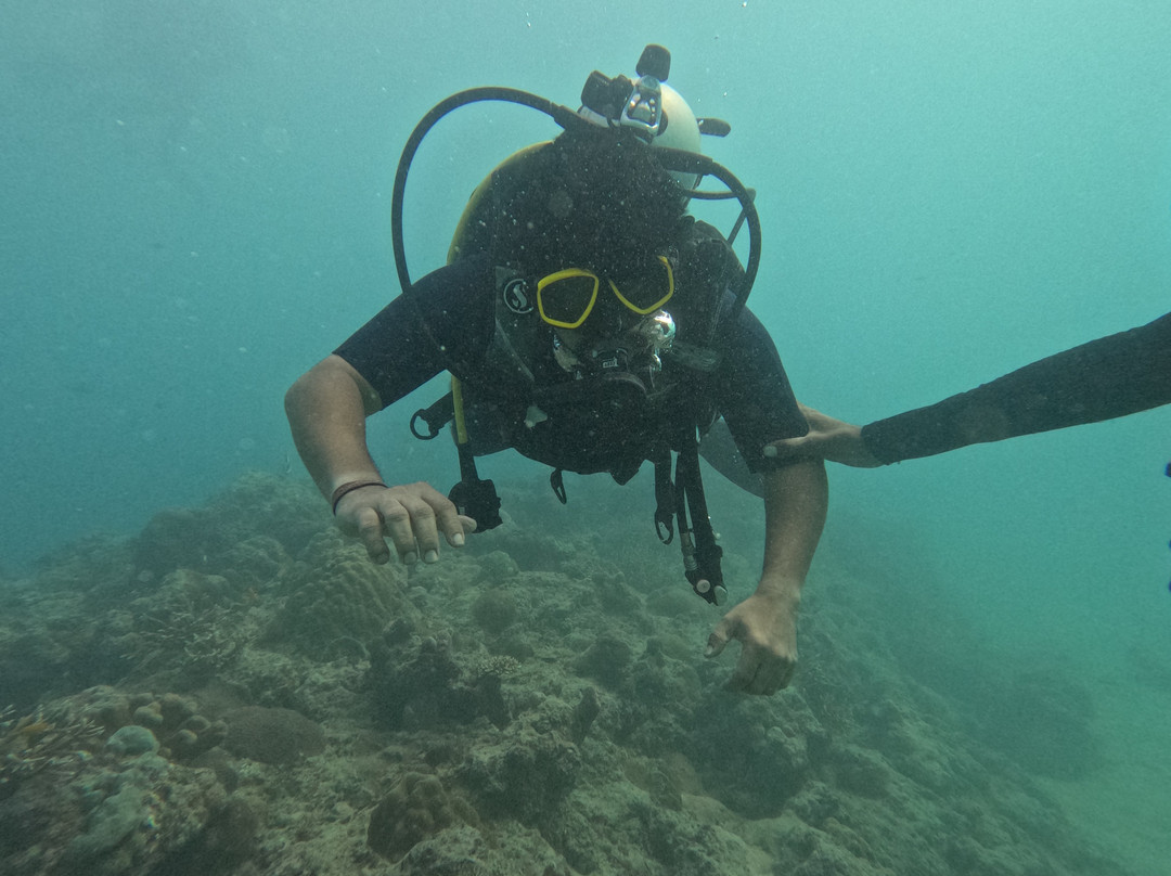 Turquoise Dream | PADI Dive Centre-Neil Island必去景点