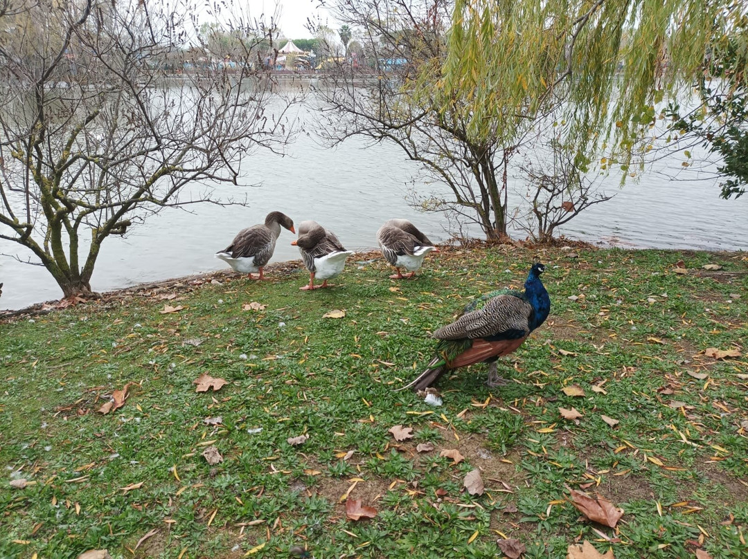 Fiabilandia-里米尼必去景点