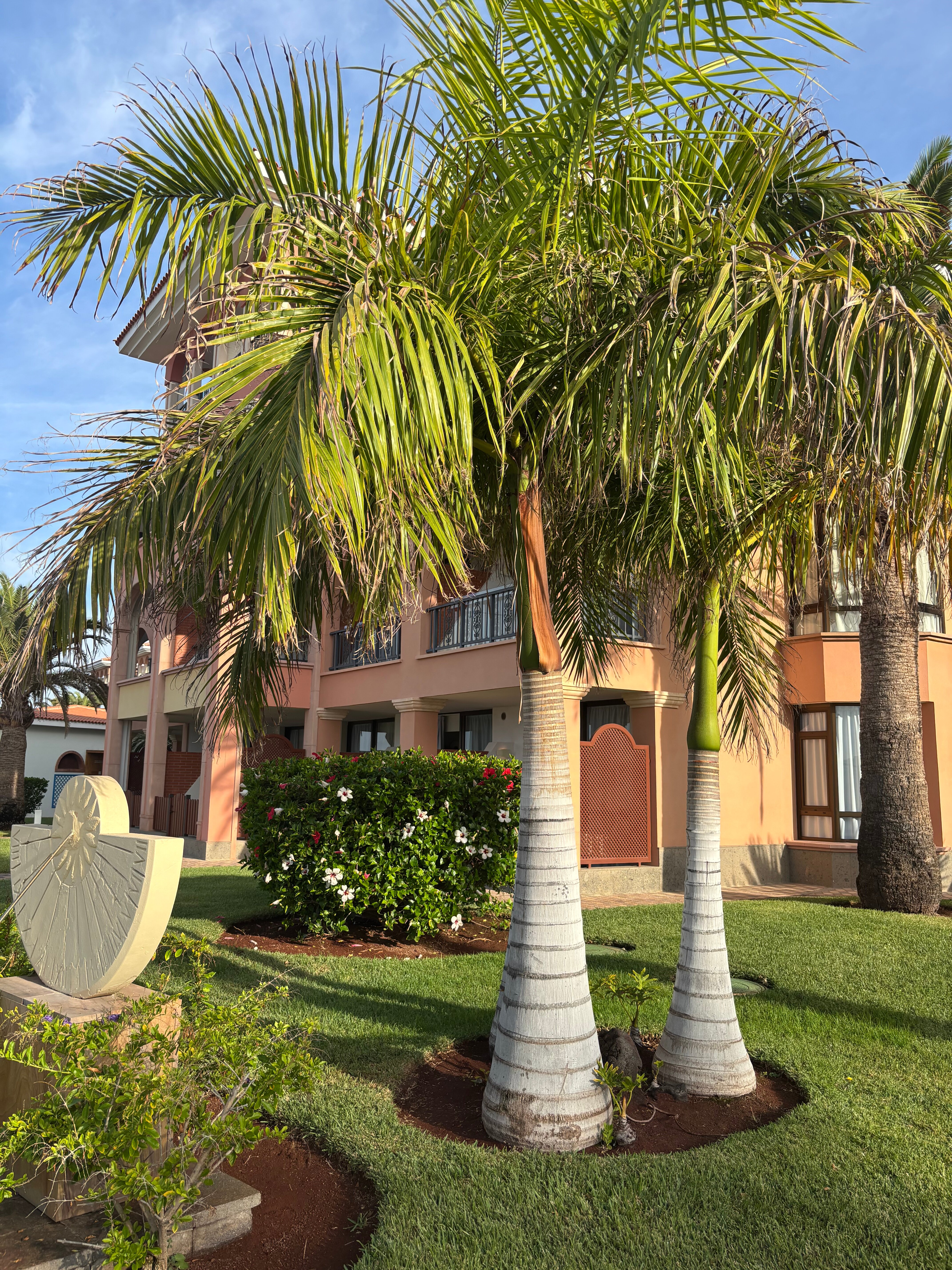 Iberostar Selection Anthelia-浴室