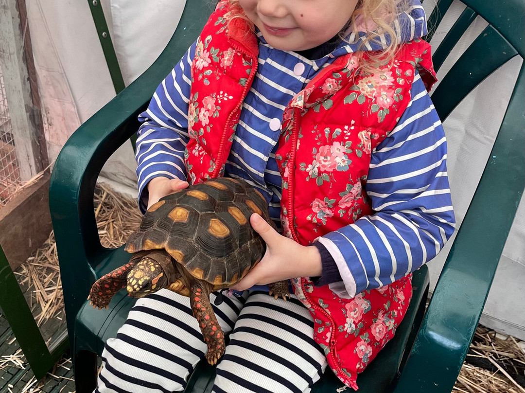 Holmes Chapel Zoo-Holmes Chapel必去景点