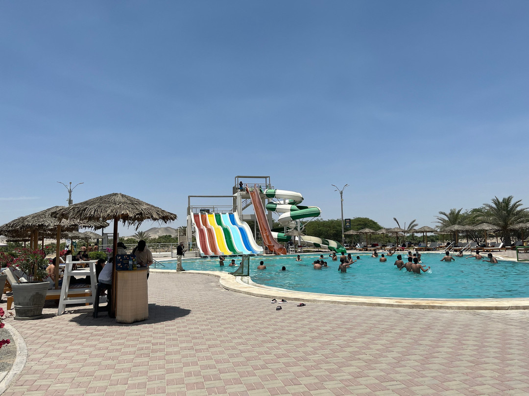 Dromedarius-伊卡必去景点