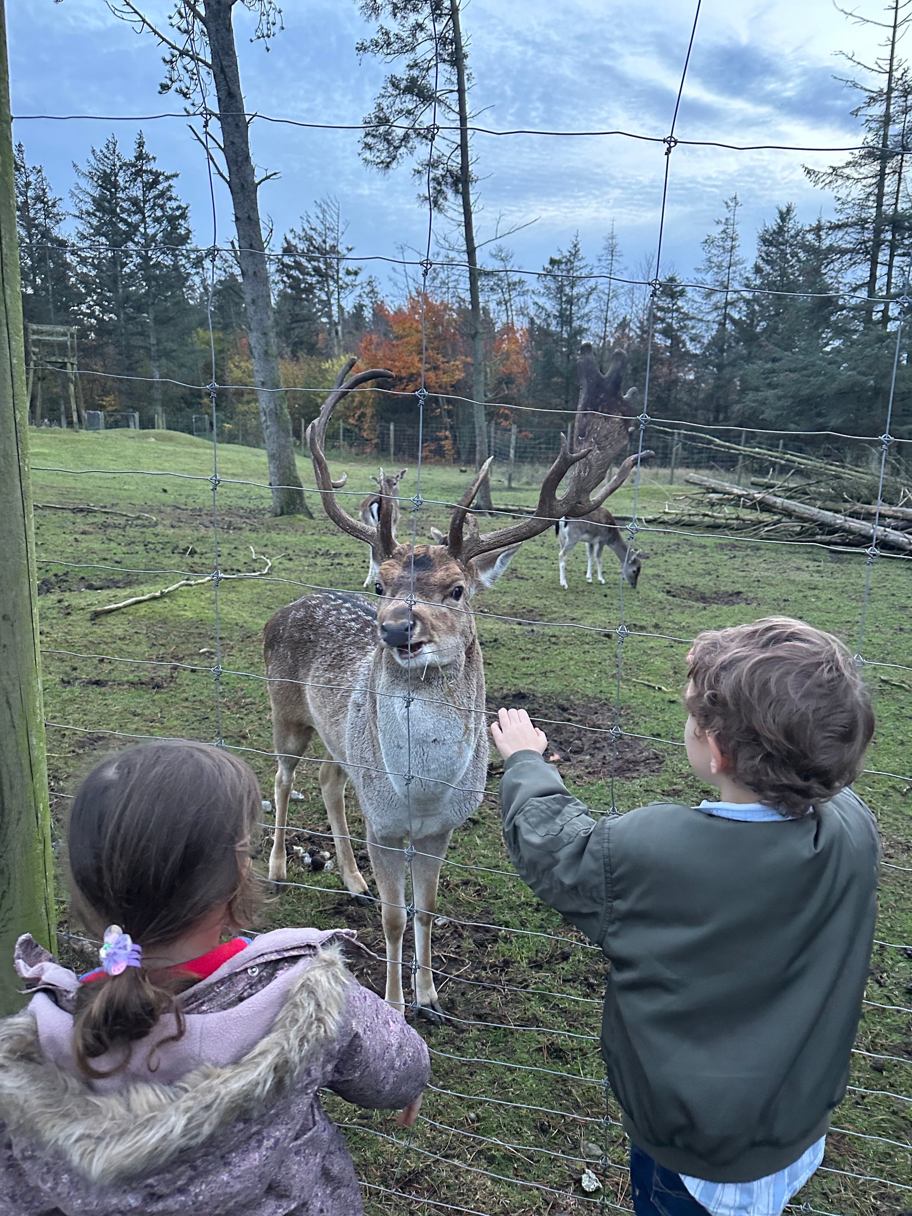 Skallerup Seaside Resort-家庭/游戏区