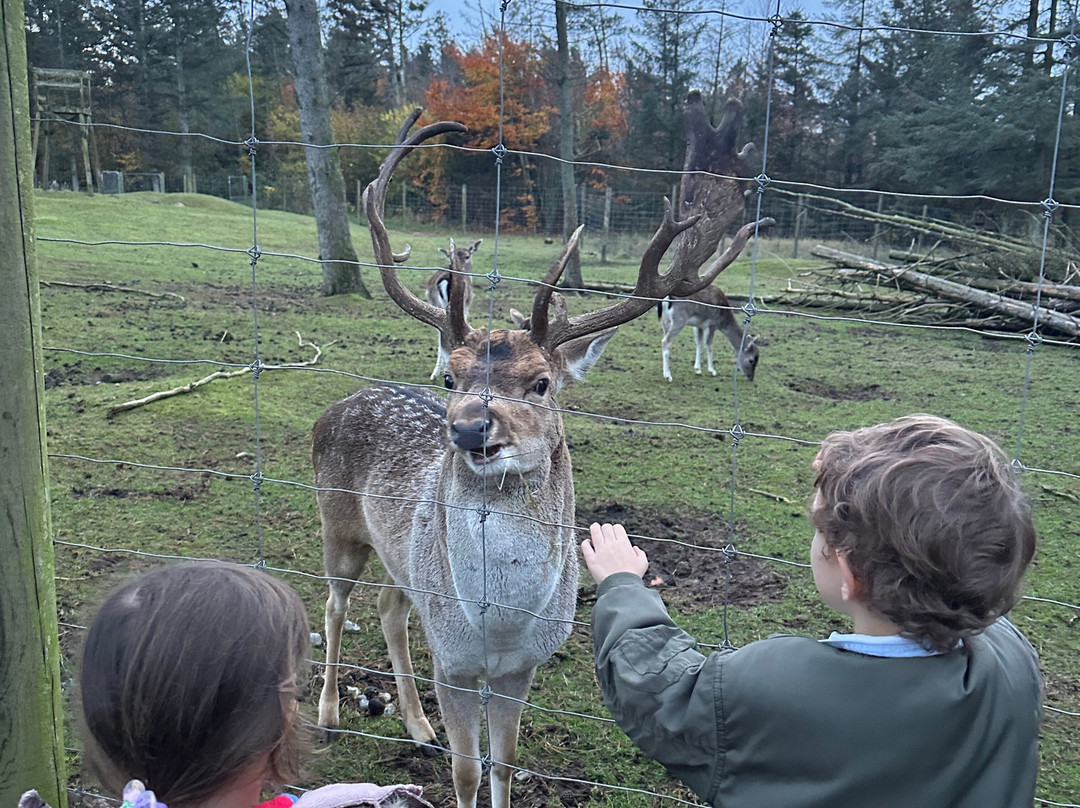 Skallerup Seaside Resort主图