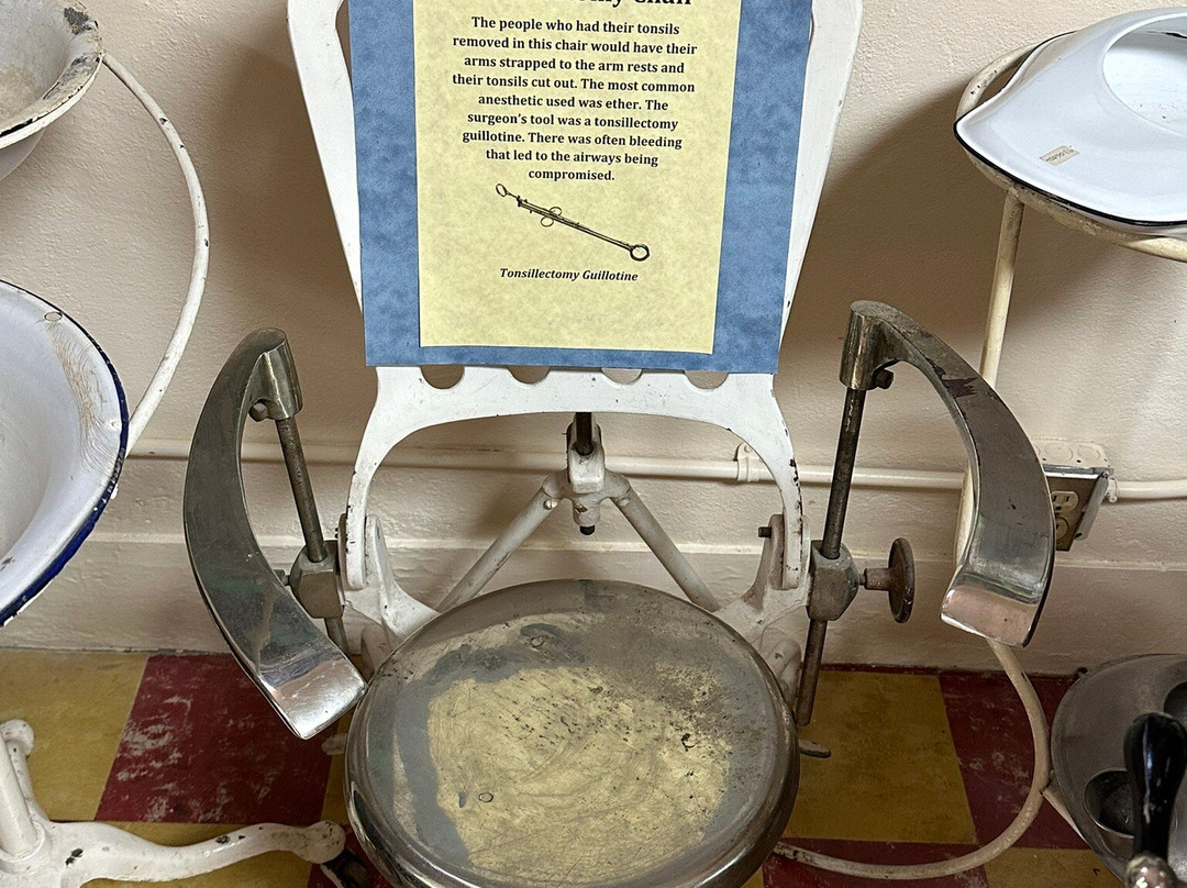 Herzstein Memorial Museum-Clayton必去景点