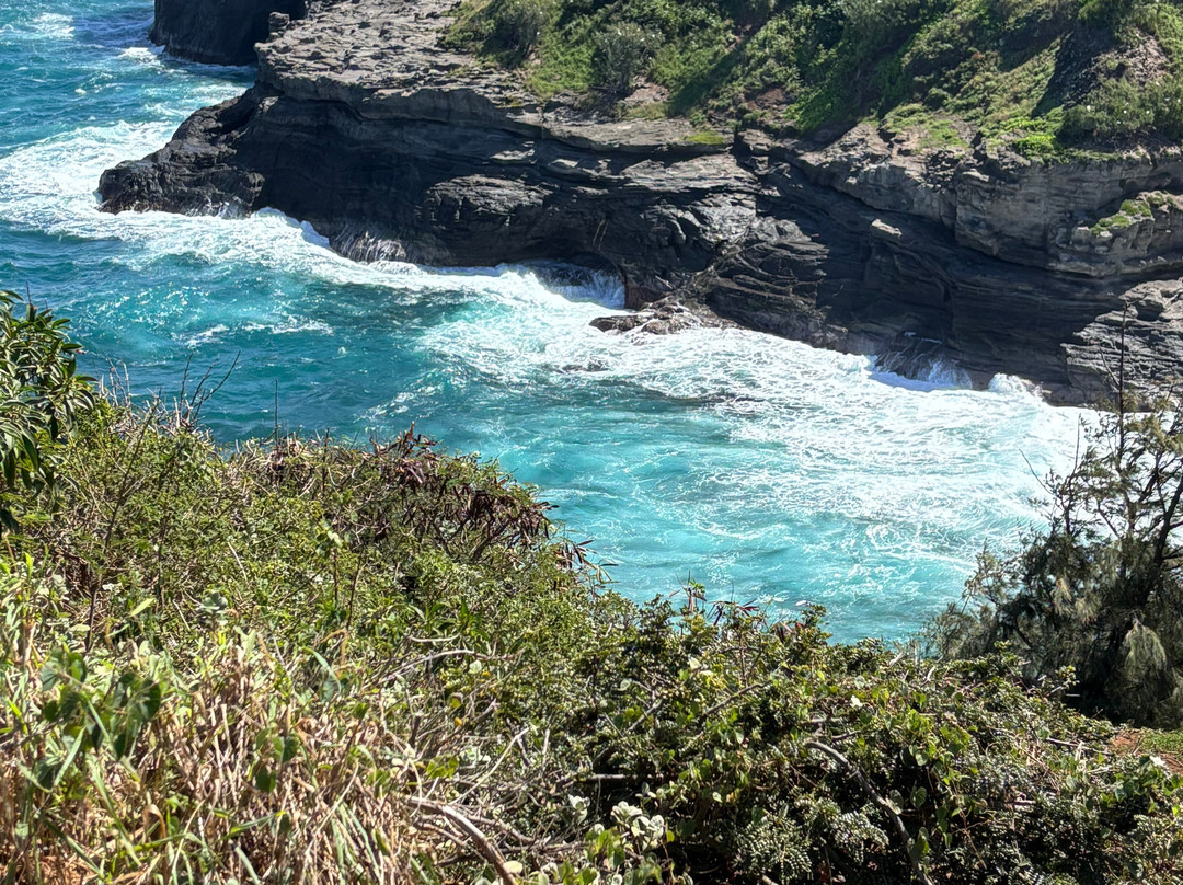 津劳也亚自然生物保护区-基拉韦厄必去景点