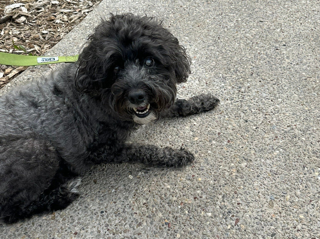 Shaver's Creek Environmental Center-Petersburg必去景点