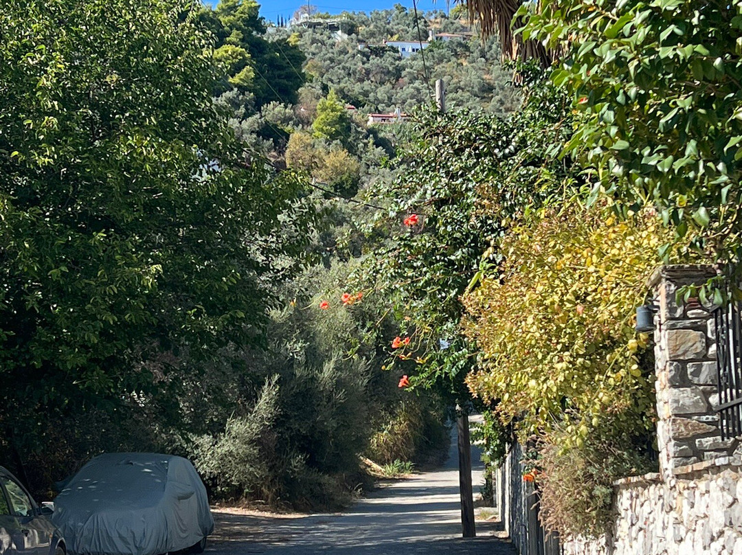 Filokalia Apartments主图