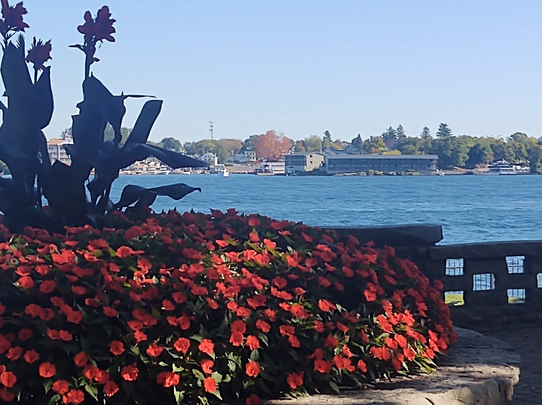 Heart Island-亚历山德里亚贝必去景点