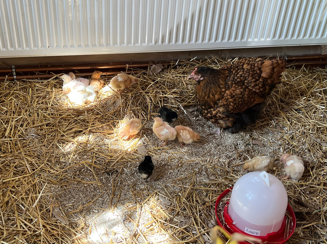 Bureau D'information Touristique De Turckheim-图克汉必去景点