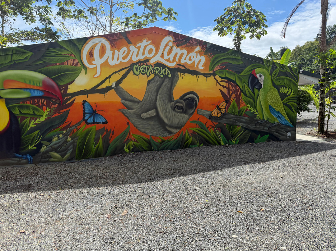 Puerta Limon Monster Bus & Rainforest Expedition-利蒙港必去景点