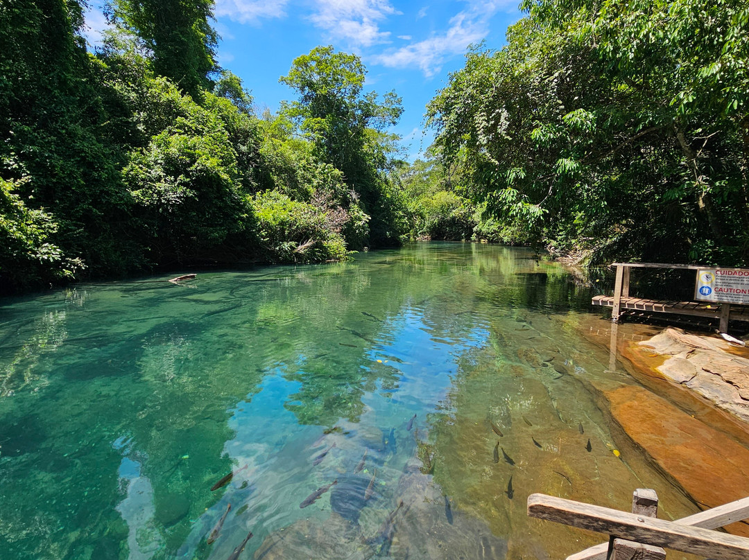 Recanto Ecologico Rio da Prata-博尼图必去景点