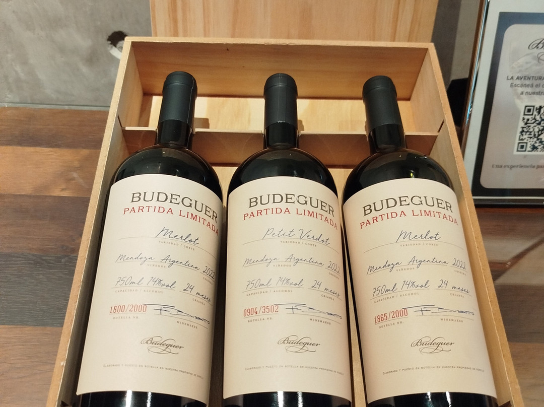 Bodega Budeguer-阿格雷洛必去景点