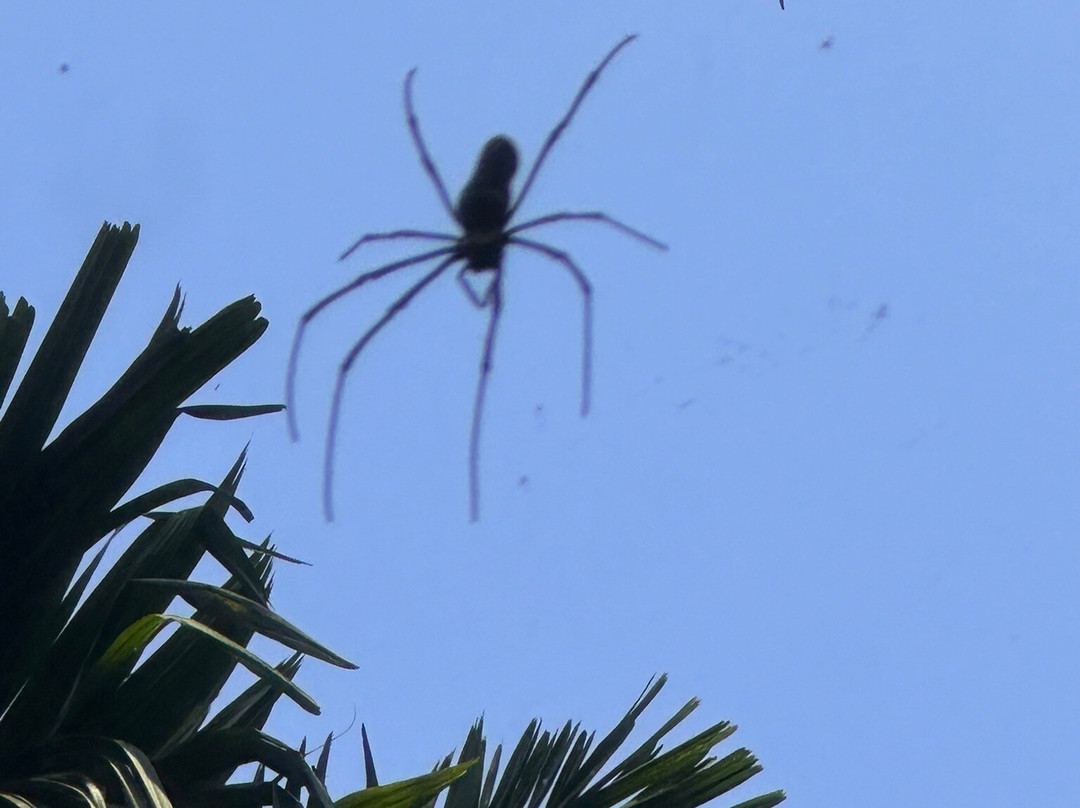 Tanshikar's Working Organic Spice Farm-Sanguem必去景点
