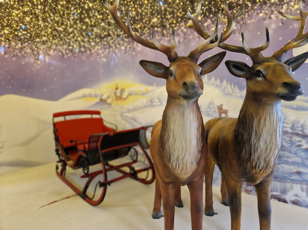 Triberg Fantasy-特里贝格必去景点