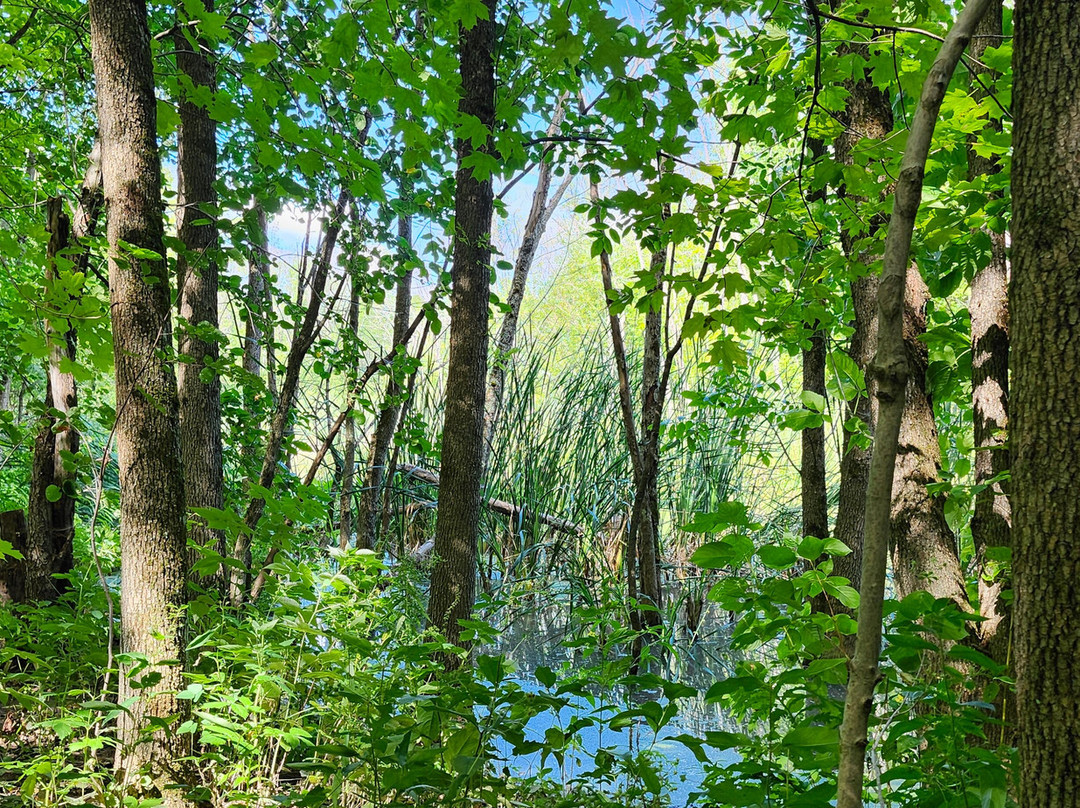 Le Parc Des Hauts-Fonds-St Augustin de Desmaures必去景点