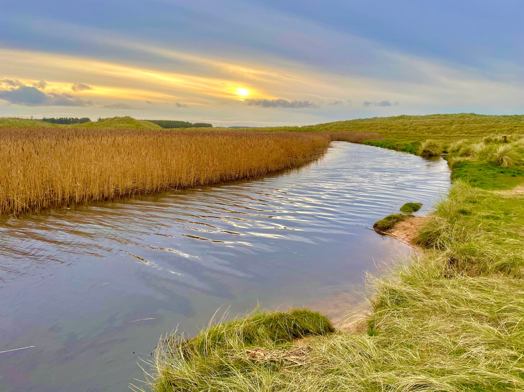 Waters of Philorth local nature reserve-Fraserburgh必去景点