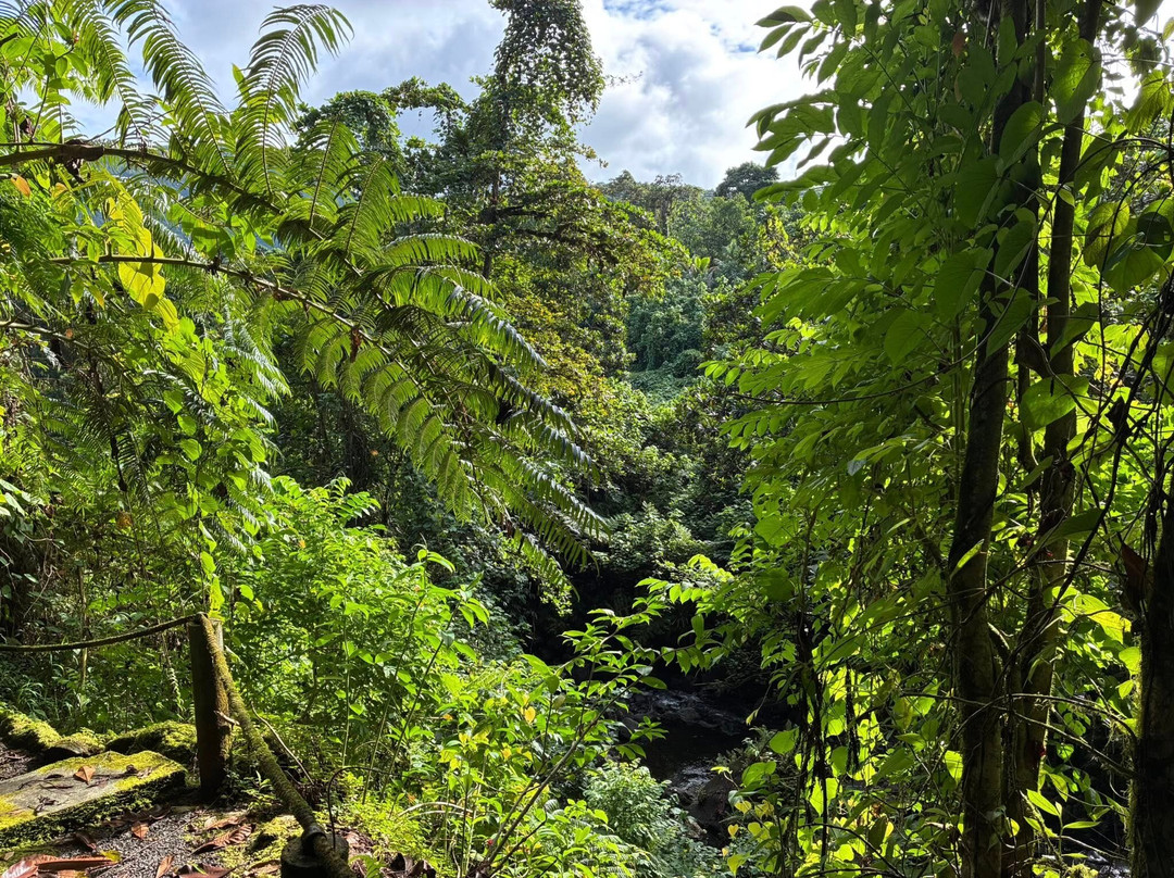 Liduduhniap Falls-朋拜必去景点