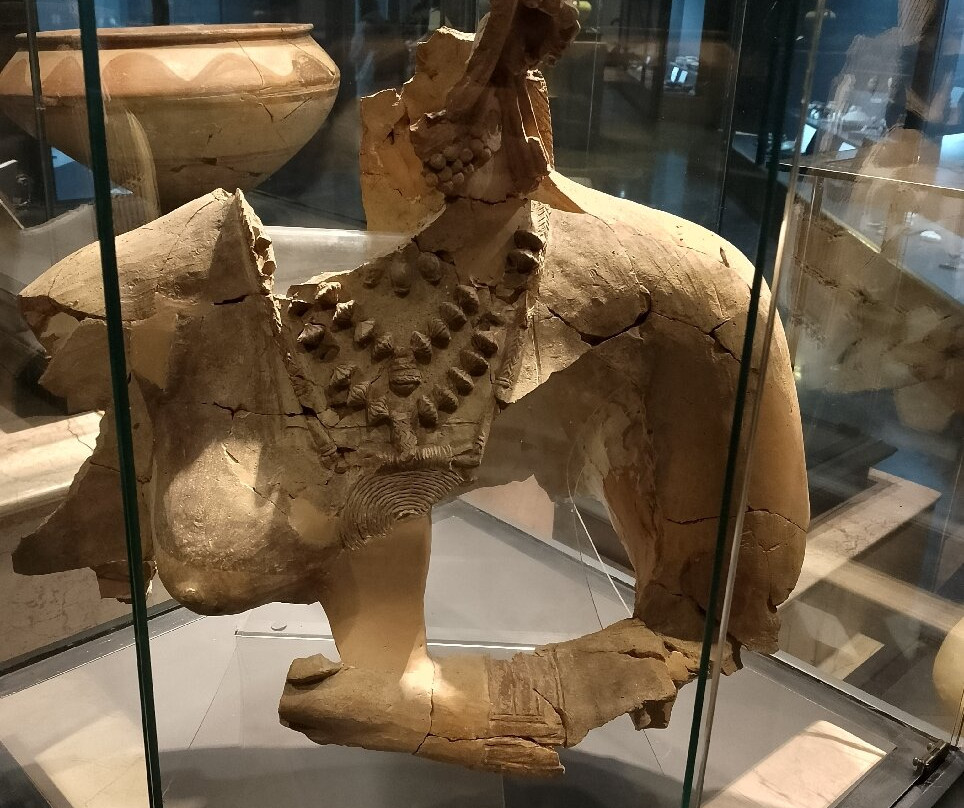 Archaeological Museum of Izmir-伊兹密尔必去景点