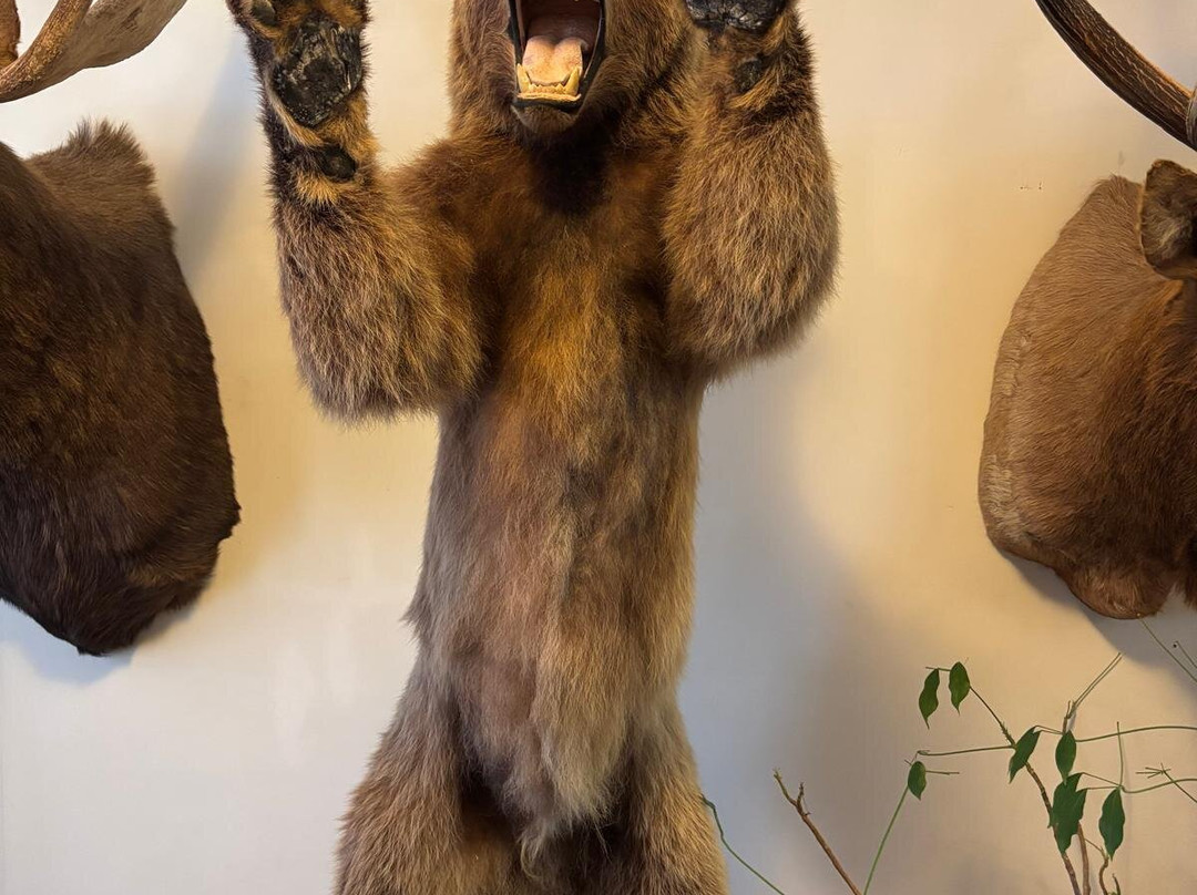 Amory Regional Museum-Amory必去景点