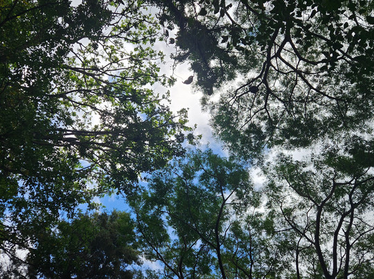 Orly Tours-塔马林多必去景点