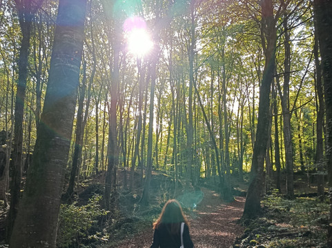 Barcelife-巴塞罗那必去景点