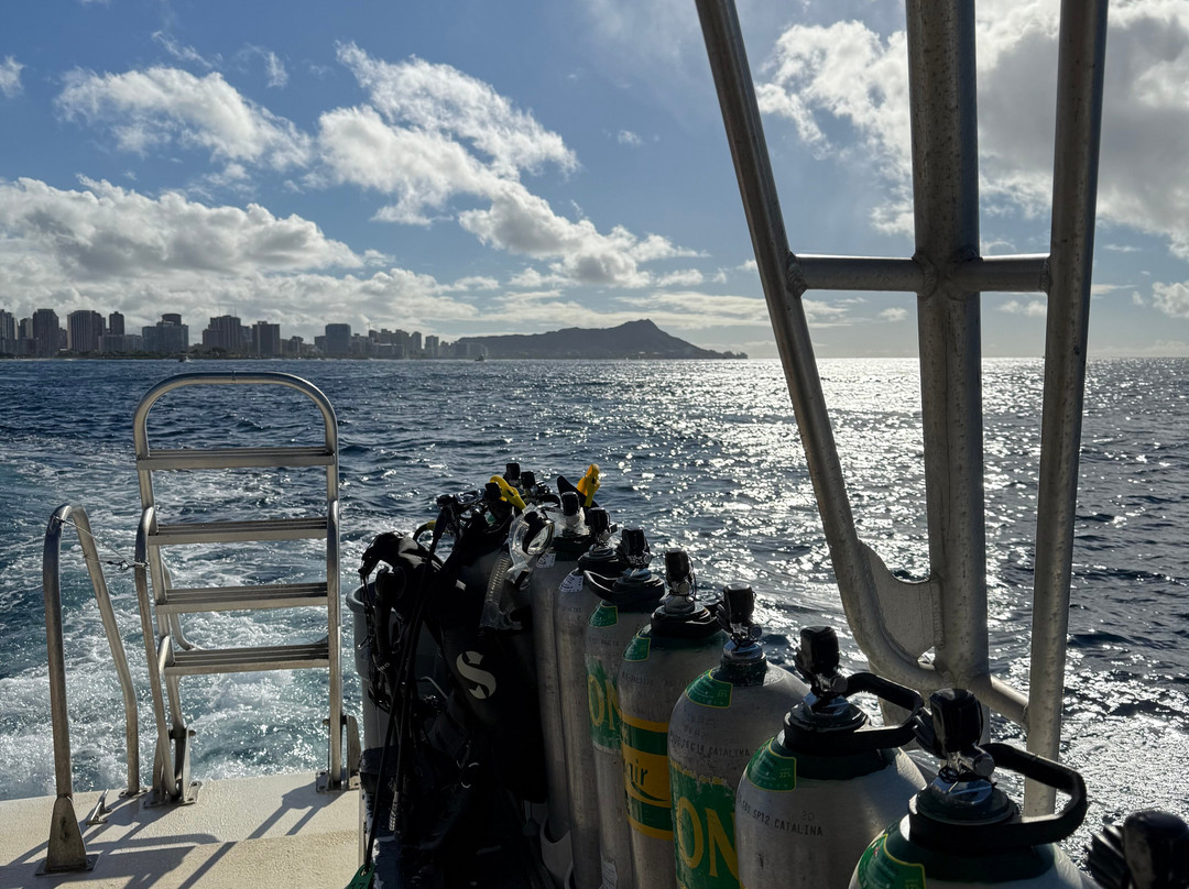 Dive Oahu-火奴鲁鲁必去景点