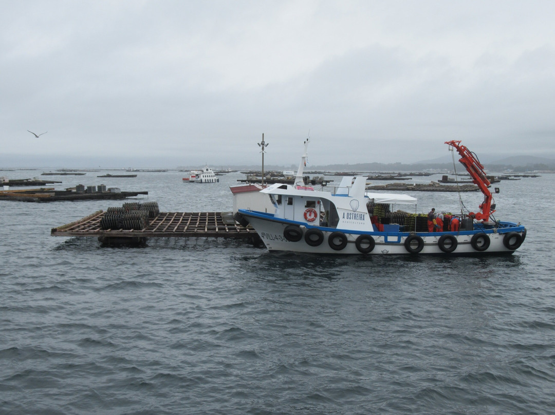 Cruceros Pelegrín-格罗韦必去景点