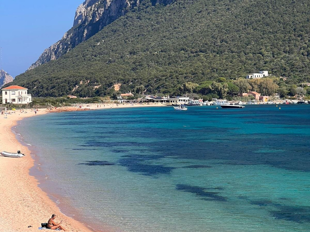 L'Area Naturale Marina Protetta Tavolara - Punta Coda Cavallo-奥尔比亚必去景点