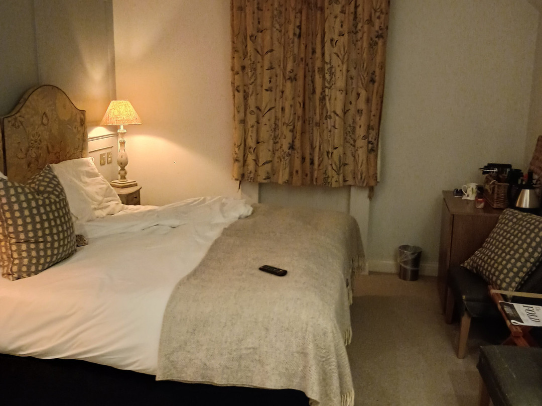 教练与马酒店主图