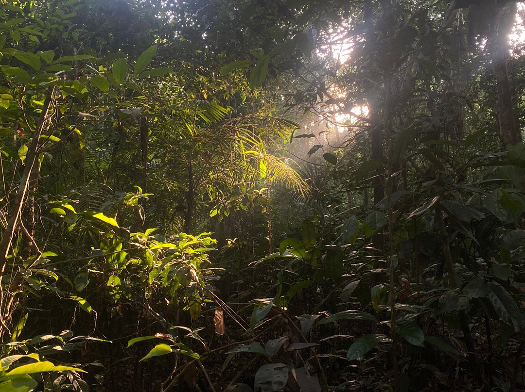Tapiche Jungle Reserve-伊基托斯必去景点