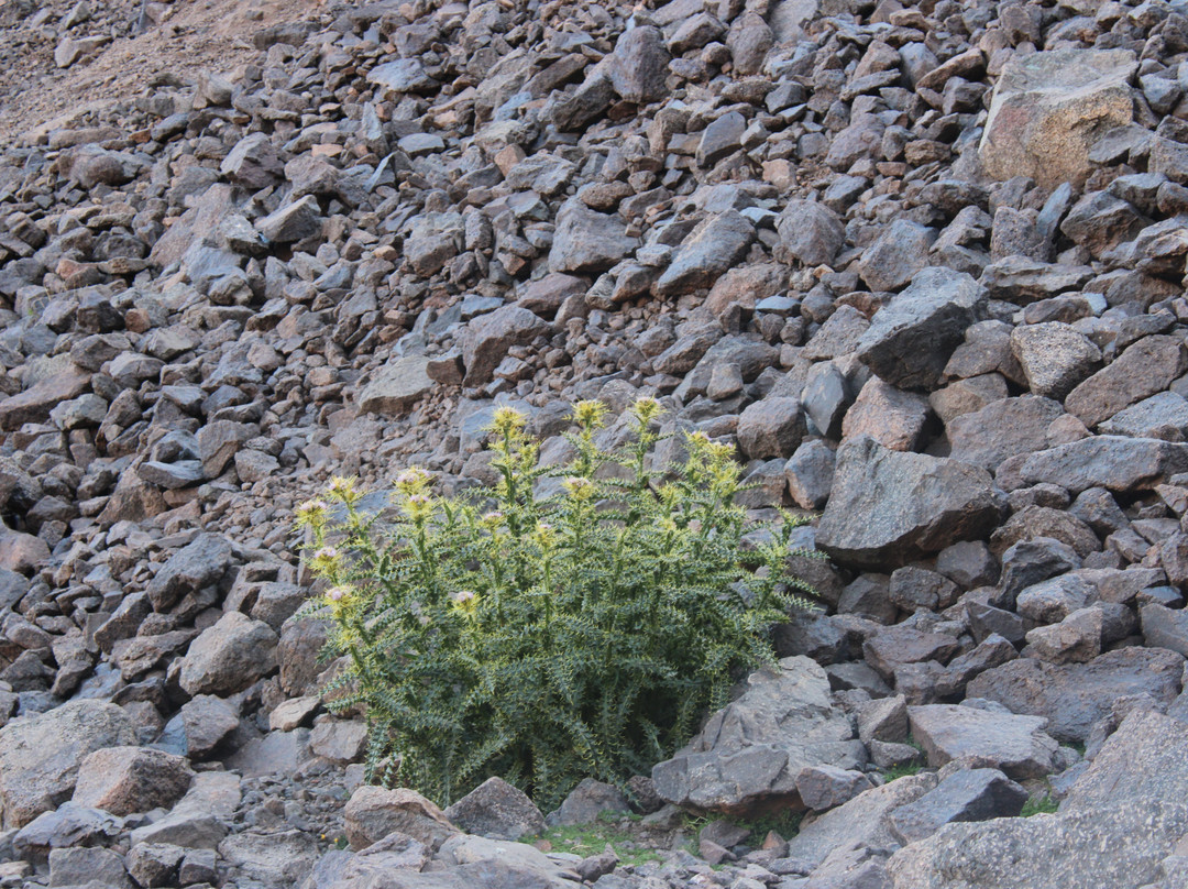 Toubkal National Park-Toubkal必去景点