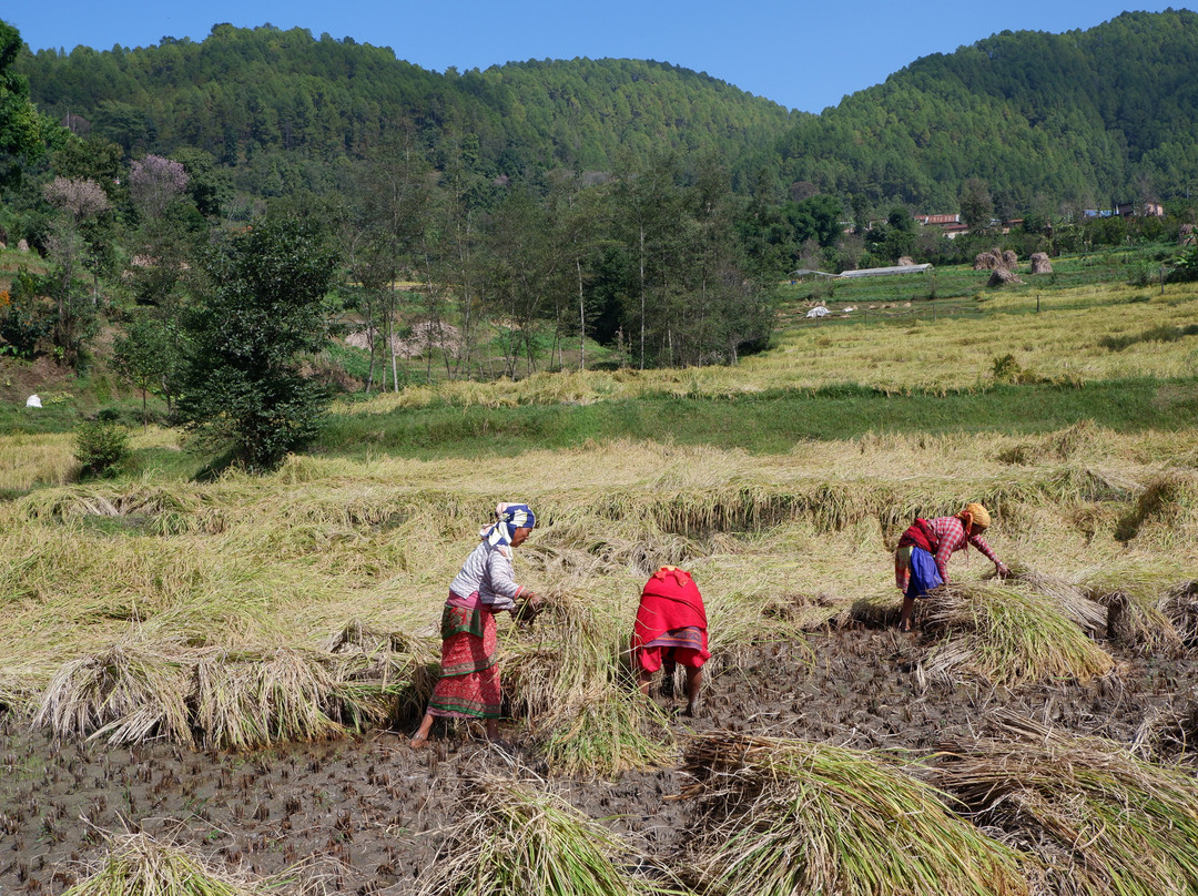 Panauti Community Home Stay主图