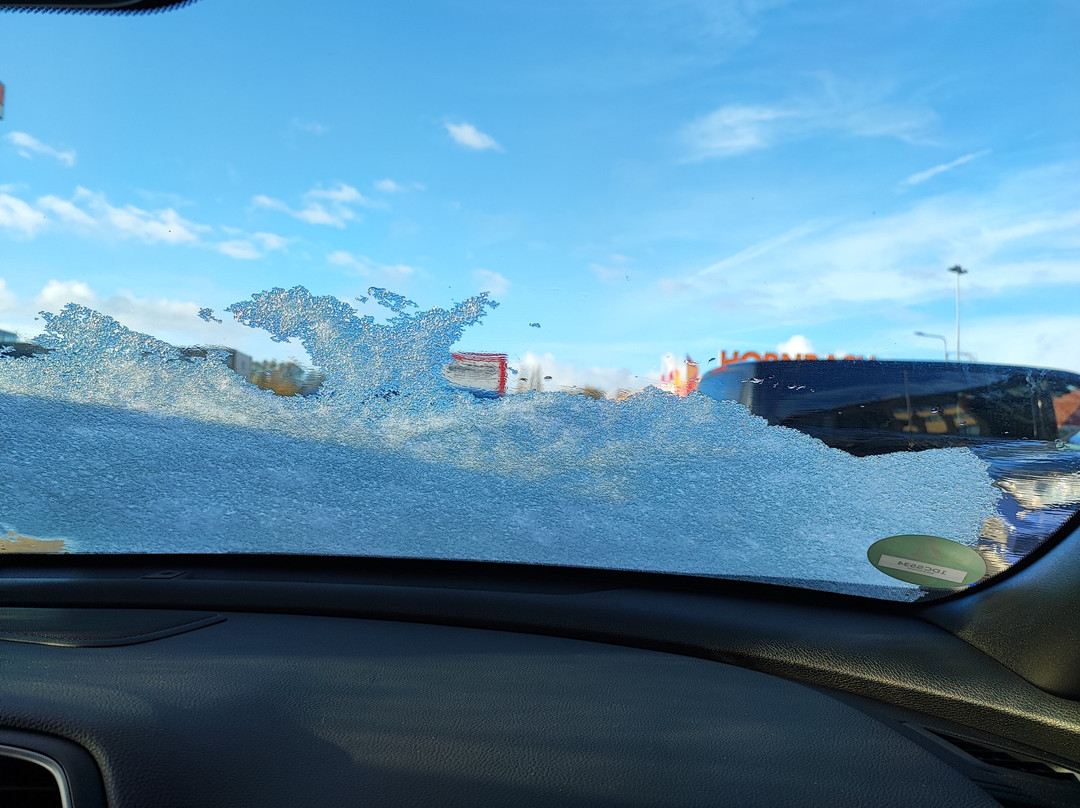 南林堡金色郁金香公园城市主图