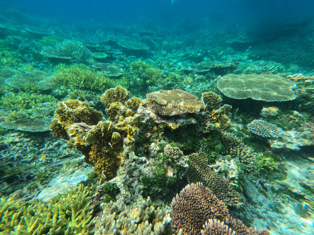 Balabac Tour By The Wanderwalkers-巴拉巴克必去景点