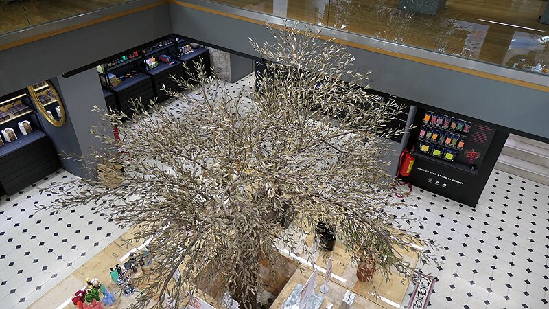 The Apivita Experience Store-雅典必去景点