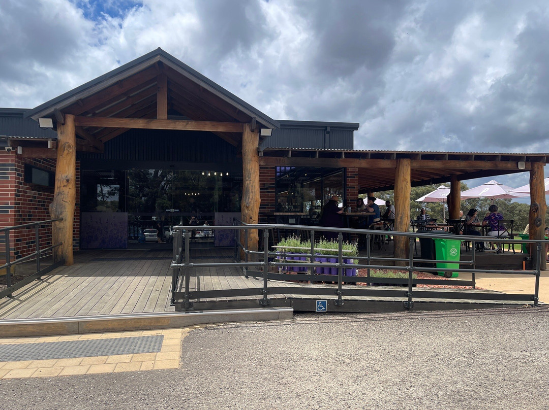 Lavender Estate | Yanchep, Western Australia-Carabooda必去景点