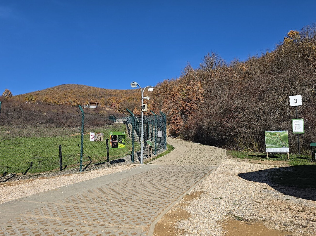 BEAR SANCTUARY Prishtina-普里什蒂纳必去景点