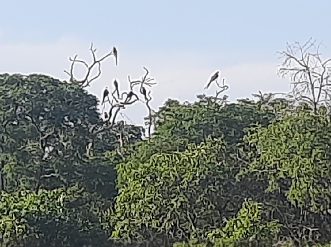 Buraco das Araras Ecoturismo-雅尔丁必去景点