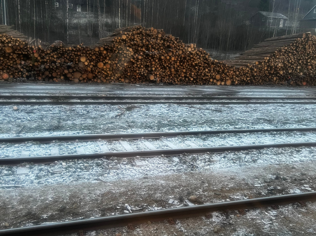 Bergen to Oslo Train Ride-卑尔根必去景点