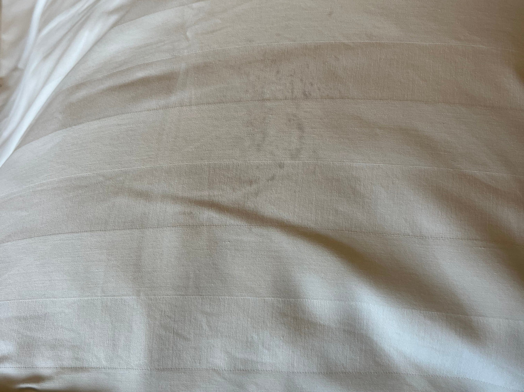 贝拉维斯特艾斯特利公寓主图