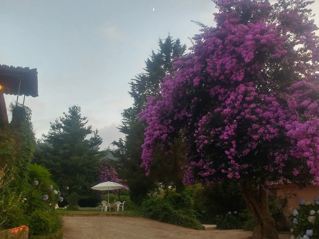 Casa dos Assentos主图