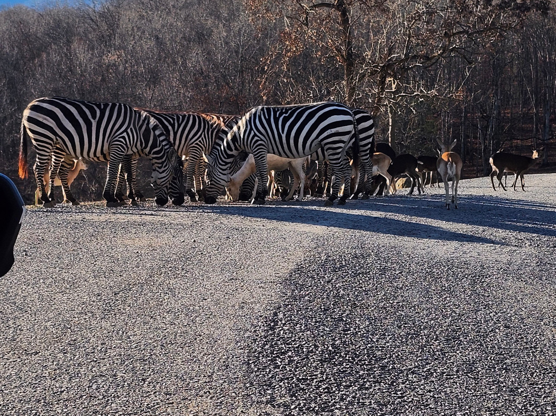 弗吉尼亚游猎公园-天然桥必去景点