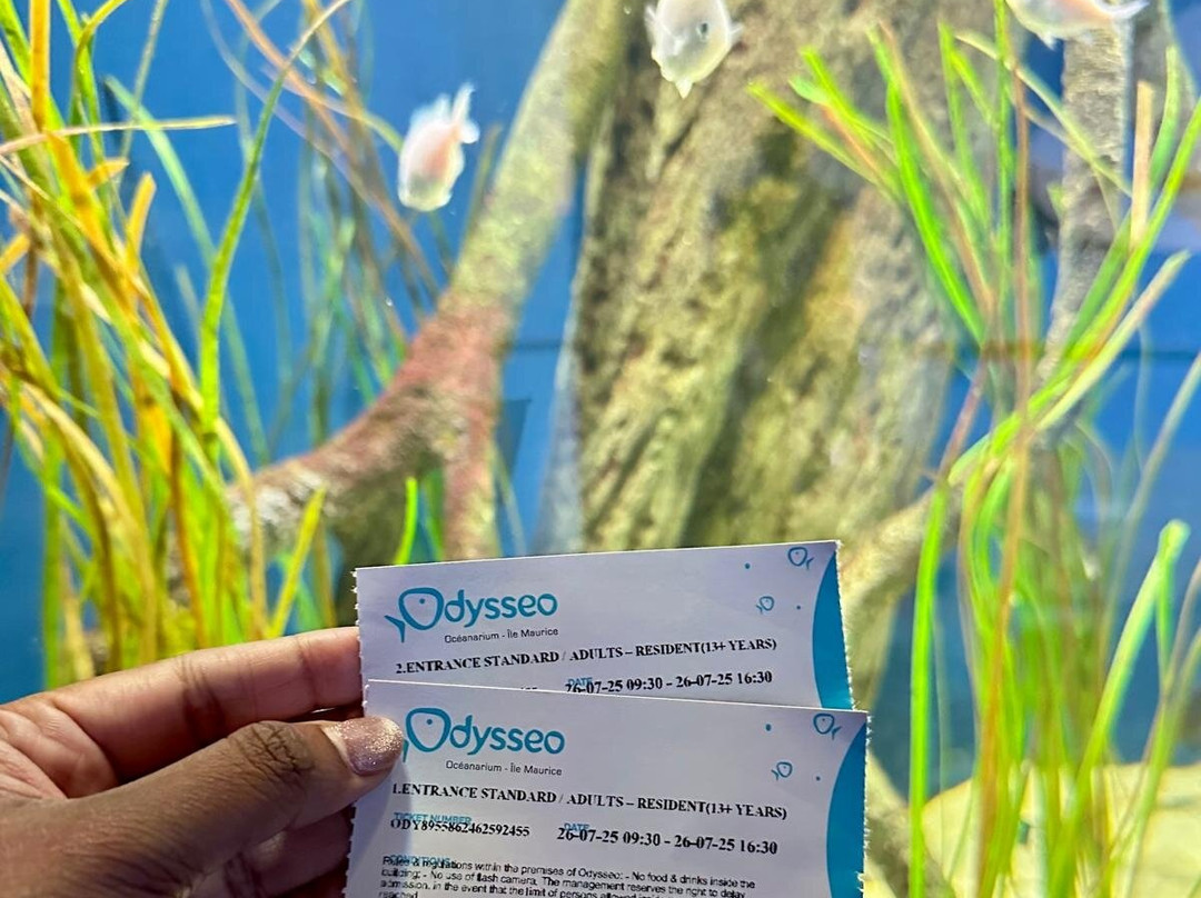 Odysseo Oceanarium Mauritius-路易士港必去景点