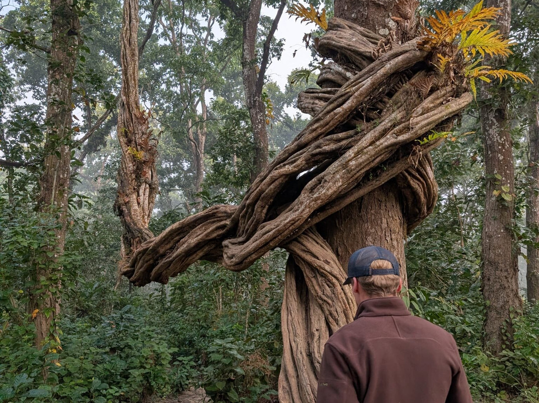 Adventure Nation Treks Nepal-博卡拉必去景点