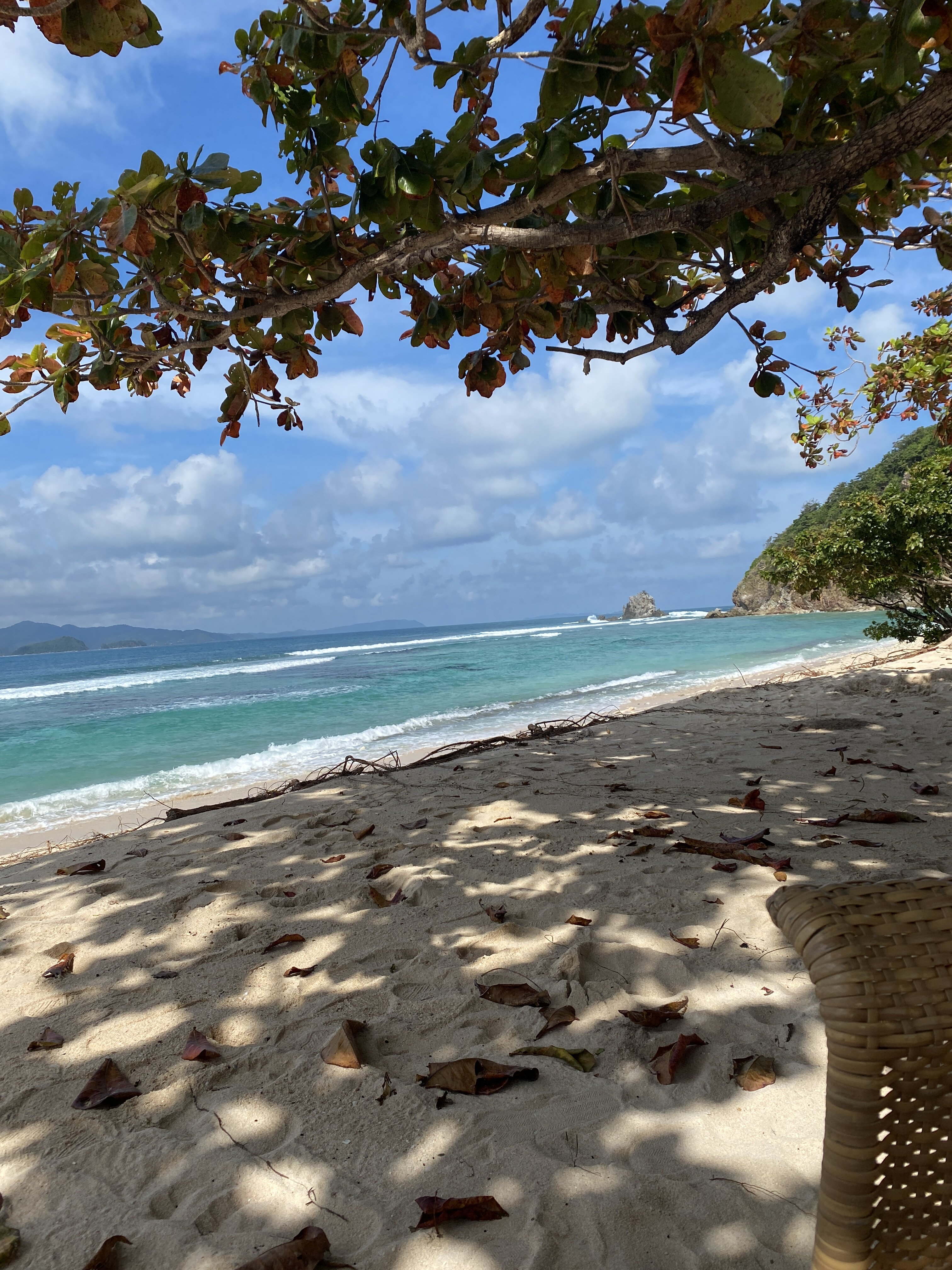 巴拉望俱乐部乐园度假村-官方