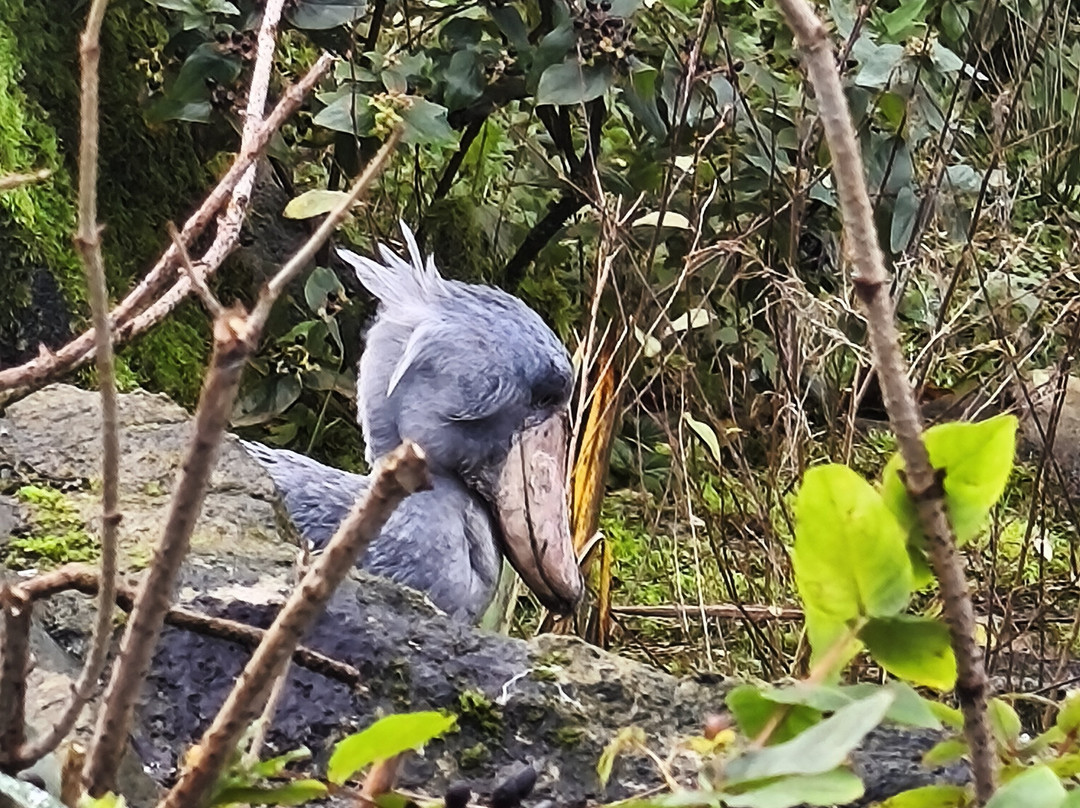 Exmoor Experience-Allerford必去景点