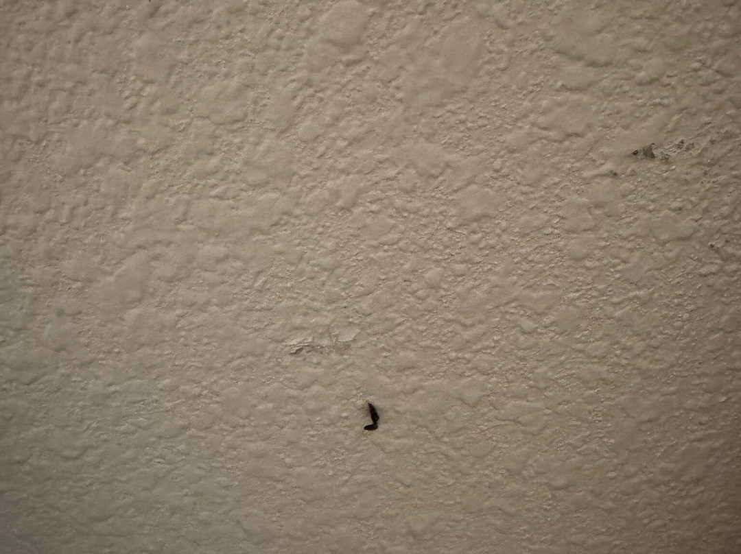 La Quinta Inn & Suites by Wyndham Katy主图