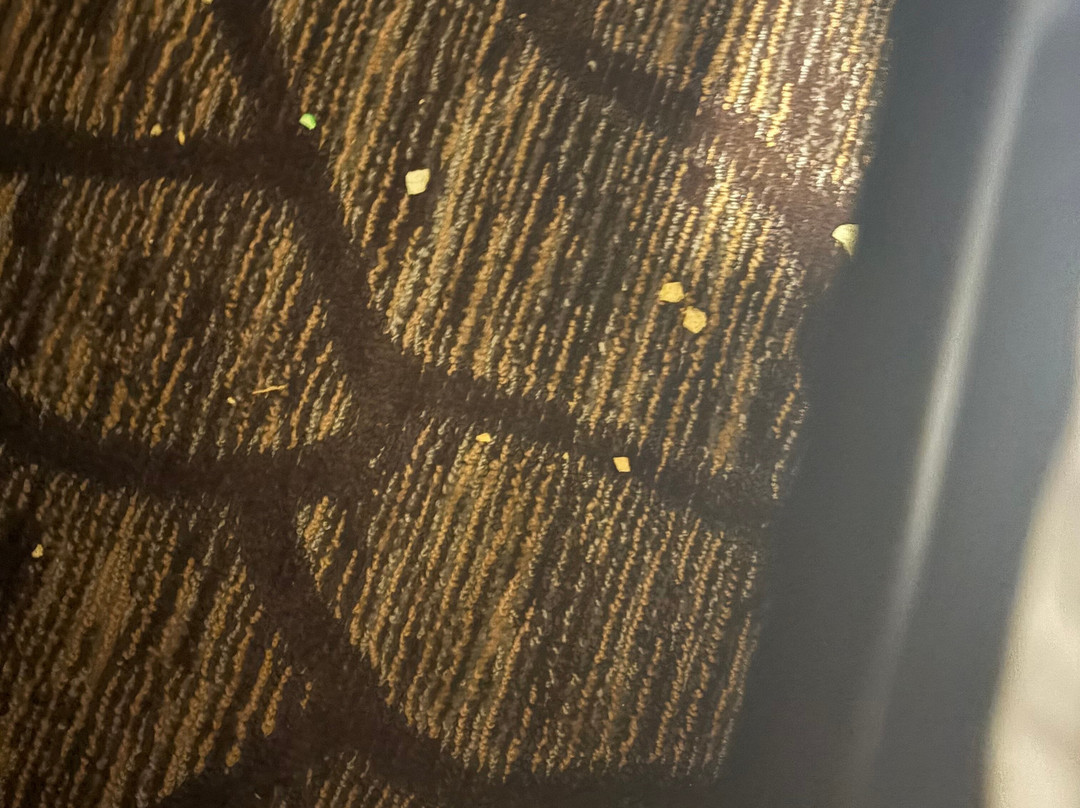 Holiday Inn & Suites Warren by IHG主图