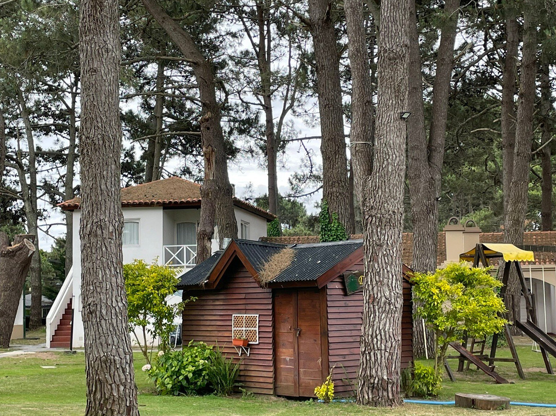 Del Pinar Apart主图