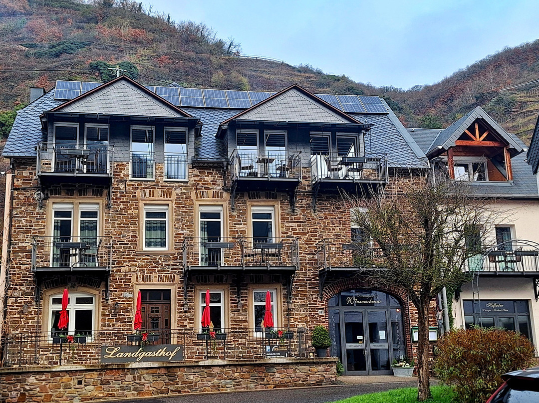 Landgasthof Winzerscheune主图